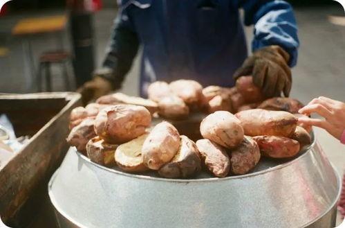 梵谷老地瓜爆料视频大全,揭秘幕后故事与精彩瞬间  第3张